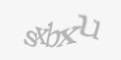 Қорғаныс коды